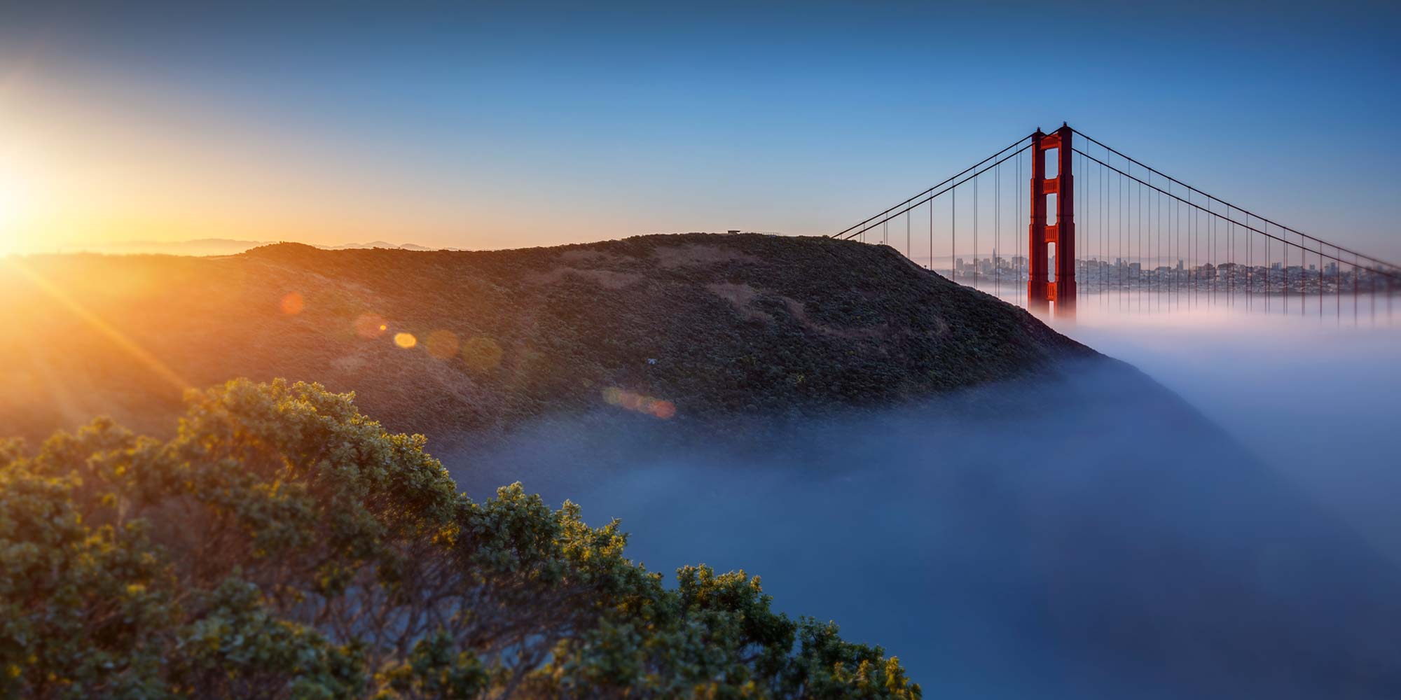 Hellman Friedman San Francisco office